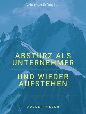 cover image of Absturz als Unternehmer und wieder aufstehen